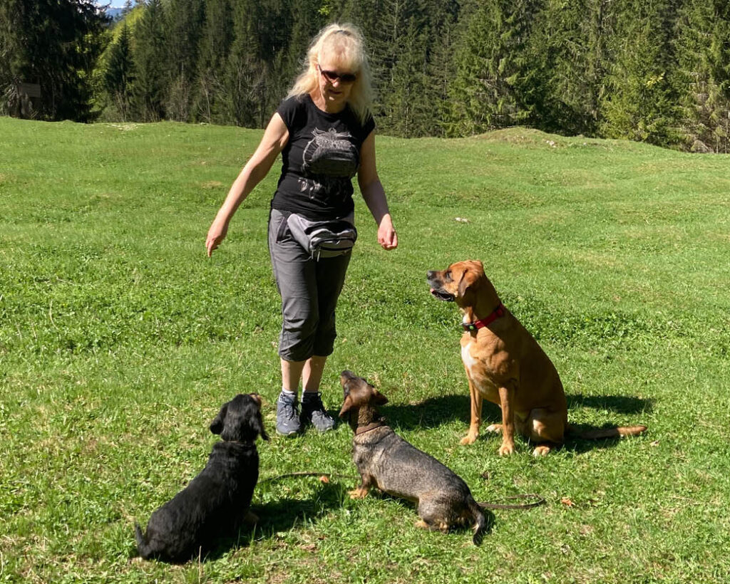 Wanderung Zimitzalm Mensch Hund Beziehung